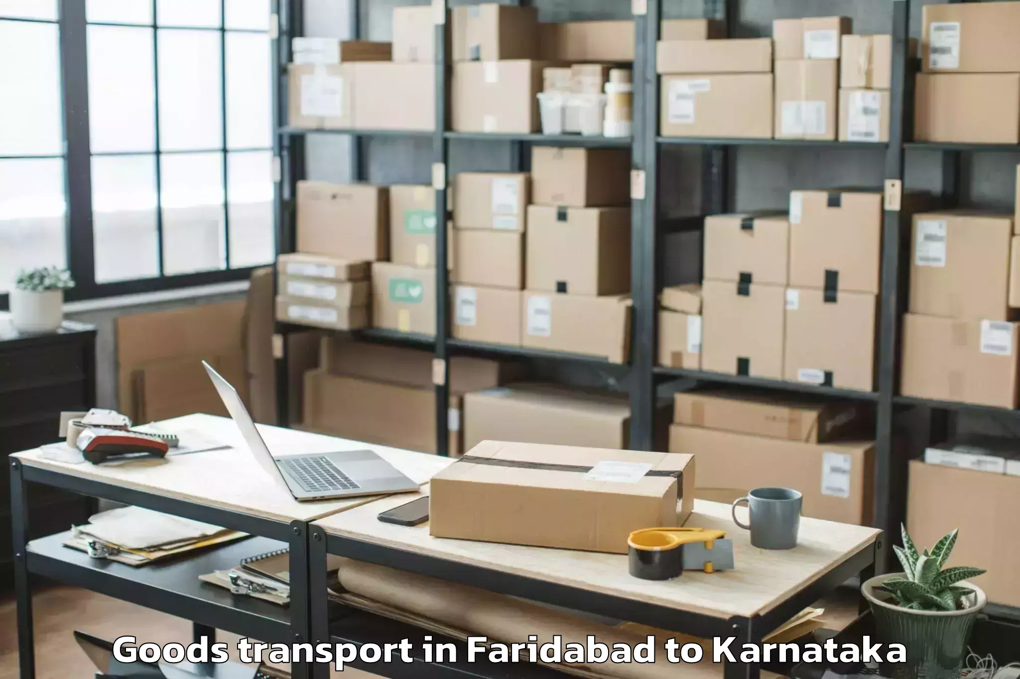 Faridabad to Holalkere Goods Transport